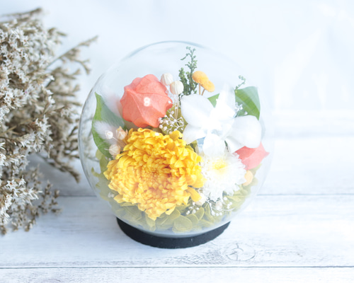 プリザーブドフラワー仏花　一対　輪菊ラズベリー　(花器なし) プリザーブドフラワー仏花 一対 輪菊ラズベリー (花器なし