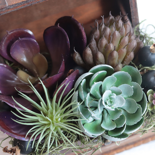 お花のような多肉植物」宝箱に詰め込んで＊アーティフィシャルグリーン