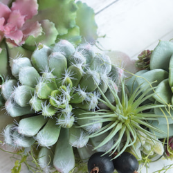 「お花のような多肉植物」三日月型グリーンリース＊アーティフィシャル・プリザーブド・ドライ・ギフトカード＊在庫により変更有 5枚目の画像