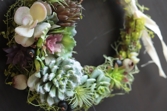 「お花のような多肉植物」三日月型グリーンリース＊アーティフィシャル・プリザーブド・ドライ・ギフトカード＊在庫により変更有 9枚目の画像