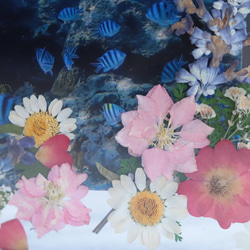 【手作りキット&選べるラベル】アイアンフレームの押花フォトフレーム“ミニバラと野花”＊ウェルカムボード・誕生日・母の日 7枚目の画像