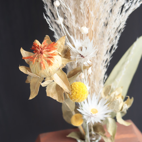 errer 白い小さな花束 パンパスグラス 標本 ハーバリュウム 植物標本