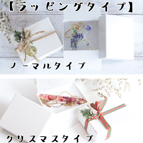 小花を閉じ込めて」バーヘアクリップ～モノクロorクローバー～＊固まる 