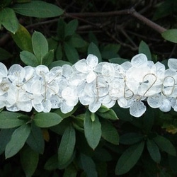 幸せのブーケリングピロー＊セミオーダーも可＊飾れるホワイトフレーム＆記念お花プレート(別売)＊存在感大な直径約20㎝ 5枚目の画像