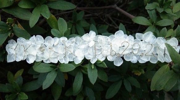 幸せのブーケリングピロー＊セミオーダーも可＊飾れるホワイトフレーム＆記念お花プレート(別売)＊存在感大な直径約20㎝ 5枚目の画像