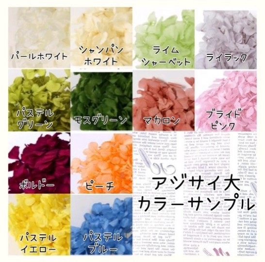 【選べるカラー】花冠＆ヘッドドレスの2way仕様＊ブリザーブドフラワー