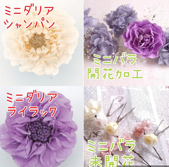 【カラーオーダーＯＫ】あじさいとオーロラかすみ草のヘッドドレス+開花加工ミニバラ＊プリザーブドフラワー 13枚目の画像