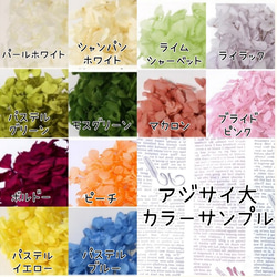 カラーオーダーＯＫ＊大輪の薔薇とレインボーカラーのラウンドブーケ&ブートニア＊2点セット＊全てプリザーブドフラワー 8枚目の画像