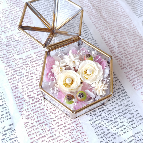 DS ソフト(バラ売り、組み合わせも可) DS ソフト(バラ売り、組み合わせも可) GOODS｜PUI PUI モルカー