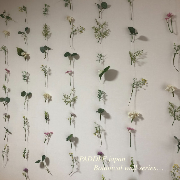 ＊Botanical wall series-1＊PADDLE.japan新作＊＊受注発注＊＊６本セット 6枚目の画像