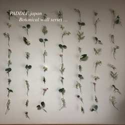 ＊Botanical wall series-1＊PADDLE.japan新作＊＊受注発注＊＊６本セット 7枚目の画像