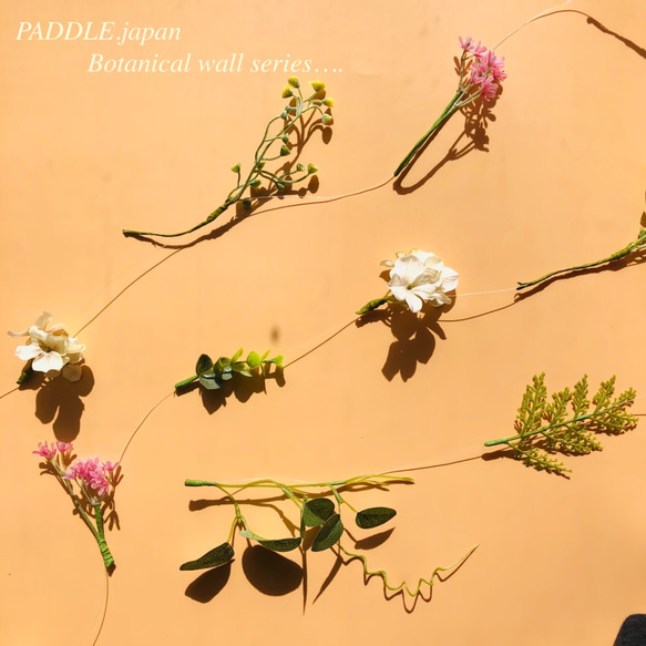 ＊Botanical wall series-1＊PADDLE.japan新作＊＊受注発注＊＊６本セット 9枚目の画像