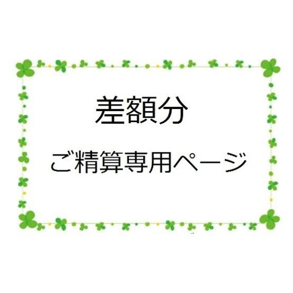 差額分・送料分ご精算専用ページ その他素材 MomenFactory 通販  