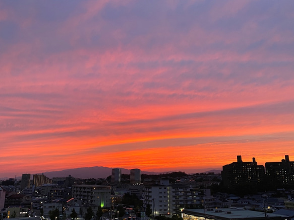 《再…再販♡送料無料》黄金色の夕焼け❁︎サンセットオレンジのヘアクリップ♡ 8枚目の画像