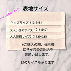 再販【送料無料】2枚セット/不織布マスクカバー/洗えるマスクカバー/色とサイズが選べる/プリーツタイプ/コットン100％ 5枚目の画像