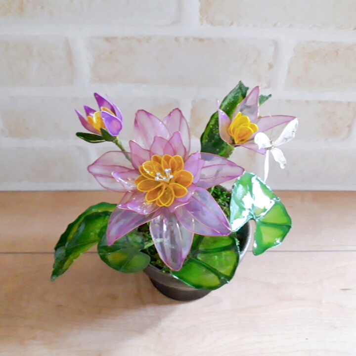 アメリカンフラワー　睡蓮　JUNさま専用