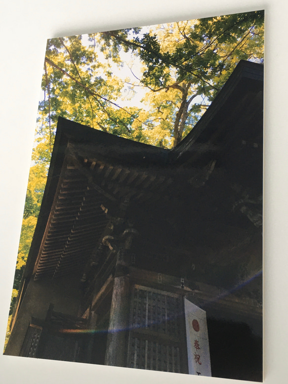 パワーチャージフォト　　九頭龍神社⛩【戸隠】　虹の光✨ 1枚目の画像