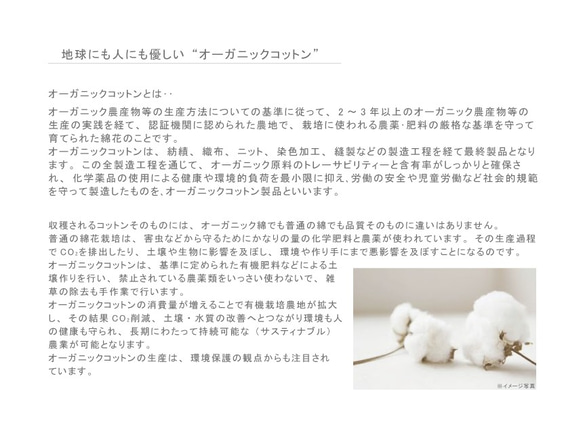 【MEN】ORGANIC COTTON グローブ / UVケア / メンズ 手袋 / 日本製 7枚目の画像