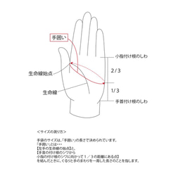 【数量限定5点 福袋】 抗菌・抗ウイルス対策 グローブセット UVケア　紫外線日焼け対策 10枚目の画像