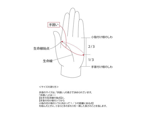 【数量限定5点 福袋】 抗菌・抗ウイルス対策 グローブセット UVケア　紫外線日焼け対策 10枚目の画像