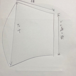  第6張的照片