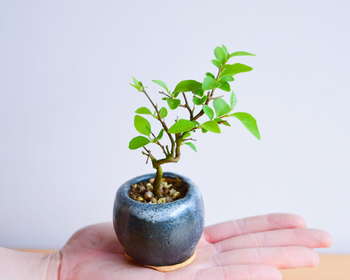 1_dd0edbec23251d7c3728286bfbef