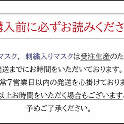 【超特大】夏マスク/接触冷感/超特大ブラック！洗える立体抗菌マスク 7枚目の画像