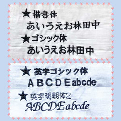 【2つセット】刺しゅう 名札 名入れキーホルダー ネームタグ 手作り ハンドメイド お名前シール 名入れ 8枚目の画像