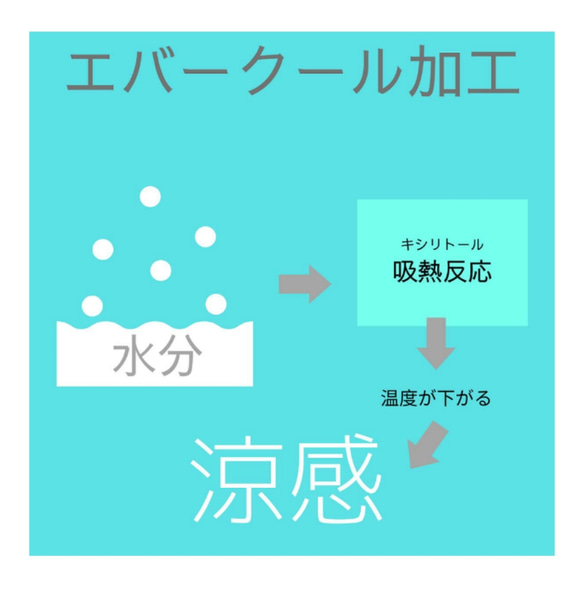 涼感   夏マスク  新色追加!!  Lサイズ (男性用) 立体マスク 7枚目の画像