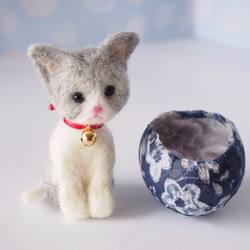 球殼* Osumashi貓 第5張的照片