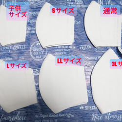 【フィルターポケット付】◆白◆布立体マスク◆【子供〜3Lサイズ】 1枚目の画像