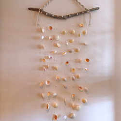 これからの季節にぴったり☺︎流木貝殻タペストリー 2枚目の画像