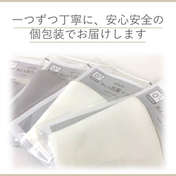 抗菌マスク2枚と抗菌マスクカバー　お得な３枚セット　送料無料　色組合せ自由に選べる　抗菌防臭加工　マスク 9枚目の画像