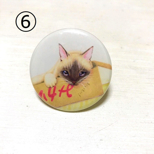 猫と龍の缶バッジ【２個セット】　　色鉛筆画　ねこ　ドラゴン 7枚目の画像