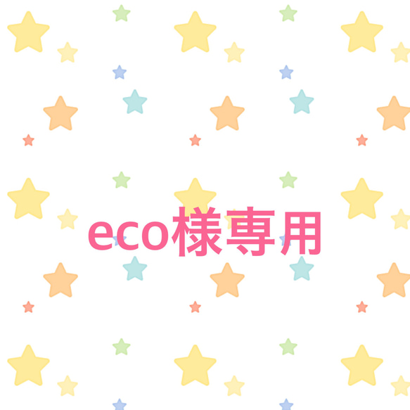 eco様専用 1枚目の画像