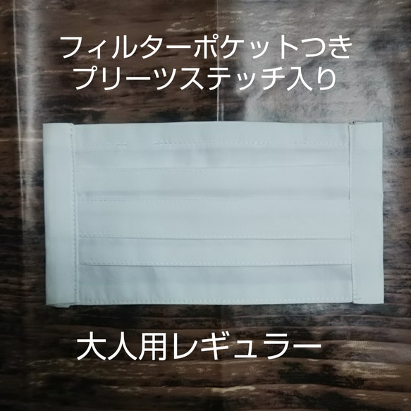 再販《即発送可能》プリーツマスク・ポケット付き・レギュラーサイズ・ステッチ入・白・使い捨てマスクの節約に 1枚目の画像