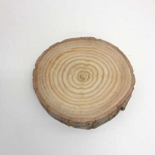 くぬぎ 櫟 輪切り 天然木 工作素材に 木材・板 asabu 通販 9551132