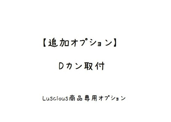 【追加オプション】Dカン金具取付 2枚目の画像