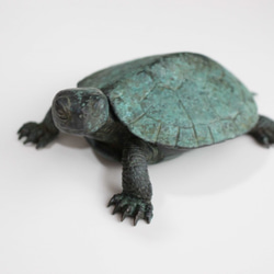 0_60a5a538c7005b8ff82d8c8ead33