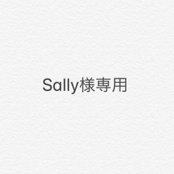 【Sally様専用】他の方はご遠慮下さい 1枚目の画像