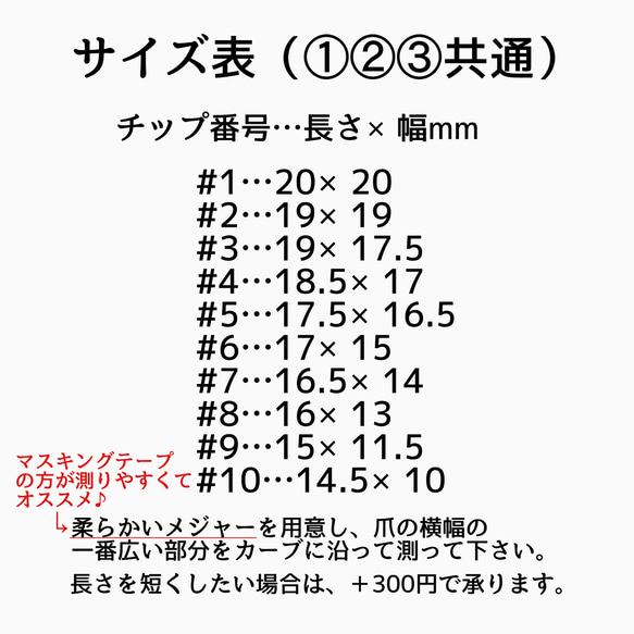 **秋の果実（カラー変更可）*　ネイルチップ　アシンメトリー　フルーツ　ぶどう　梨　柿　栗 5枚目の画像