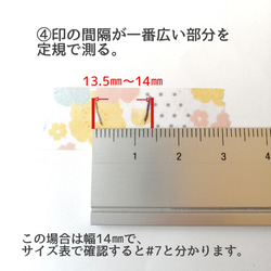 **秋の果実（カラー変更可）*　ネイルチップ　アシンメトリー　フルーツ　ぶどう　梨　柿　栗 9枚目の画像