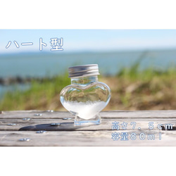 スノードーム♡シーグラスアート WOL.S シーグラスアート スノードーム - WOL sister | minne