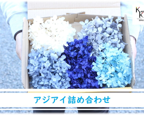 送料無料 大地農園 プリザーブドフラワー ブルー系 アジサイ