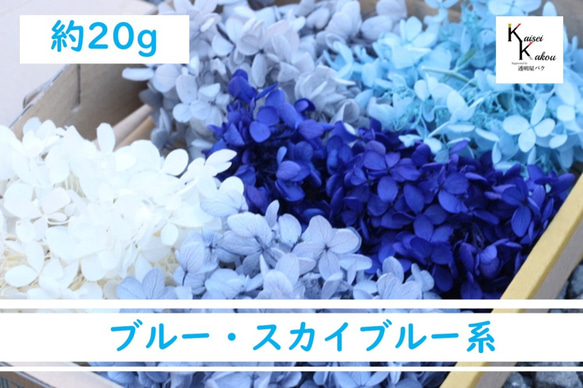 送料無料　大地農園 プリザーブドフラワー ブルー系　アジサイ　詰め合わせ　プリザ　セット　20g　5色アソート　 2枚目の画像