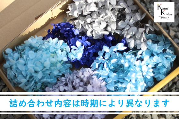 免費送貨地球農場保留花藍色繡球花Preza套裝20g 5種顏色 第4張的照片