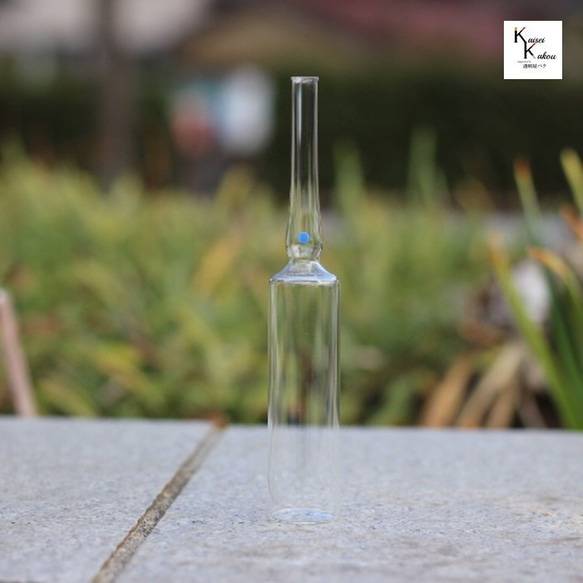 安瓶管單獨出售 硼矽酸鹽玻璃 10 件套 AP-10 10ml 白色透明安瓶玻璃瓶 第1張的照片