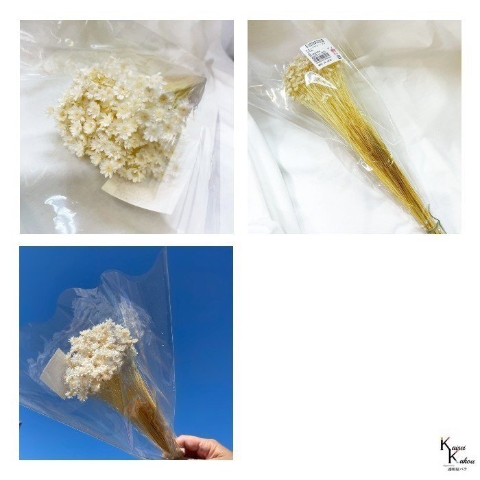 新品 大地農園 ドライフラワ 白 1束 イモーテル ※箱で送付