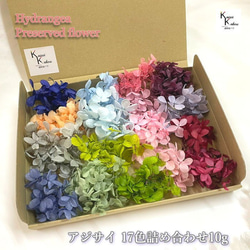 ②花材セット 1_f160ad044fbcbd876643b78014ff