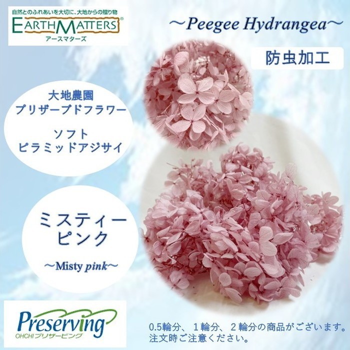 プリザーブドフラワー　アジサイ　まとめ売り 楽天市場】【ポイント10倍中 7/26 09:59迄】 プリザーブド